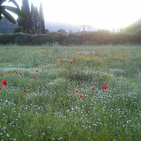 Countryside