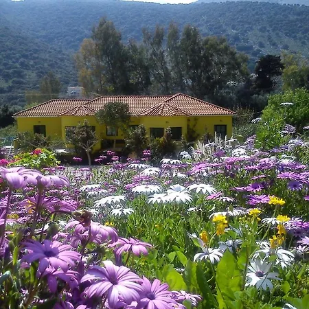 Appartamento Countryside Agia Efimia
